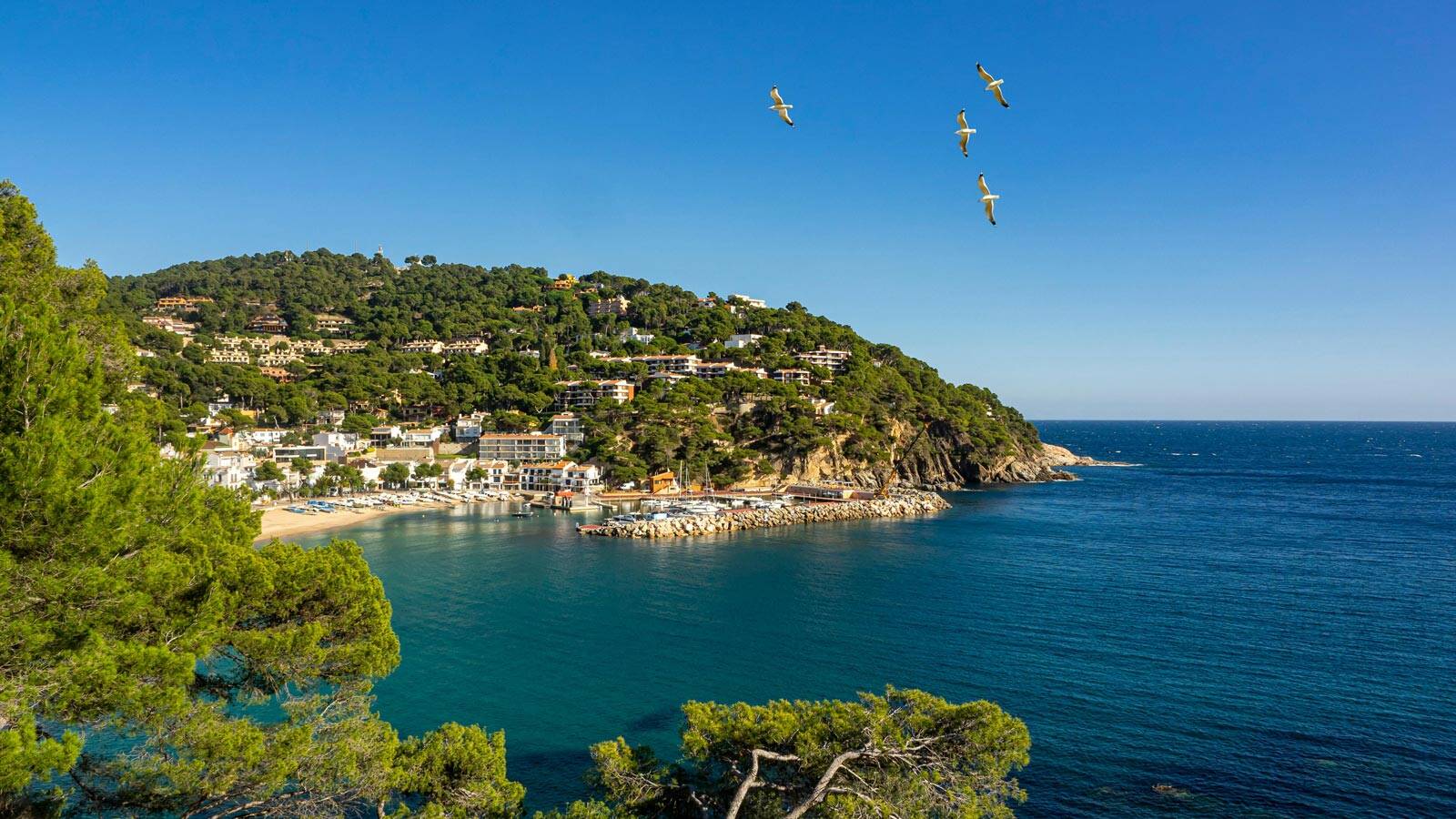 costa-brava-palafrugell